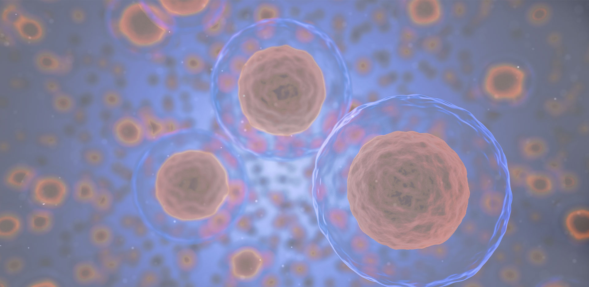 Nucleus and single cell dissociation with high yield